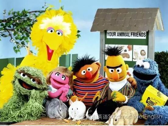 少儿英语学习:一些动物英语说法以及它们的叫声