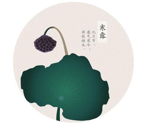 寒露至,秋更寒 今日寒露