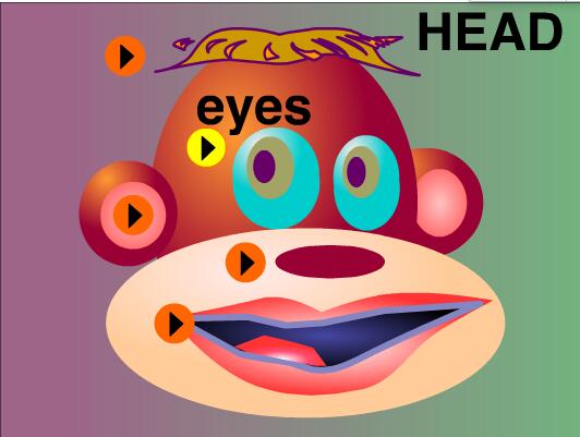 幼儿启蒙英语:身体部位英语之脑袋head